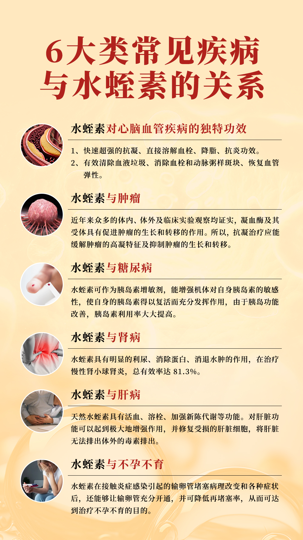 水蛭素详情页前页（简体版）_03.jpg